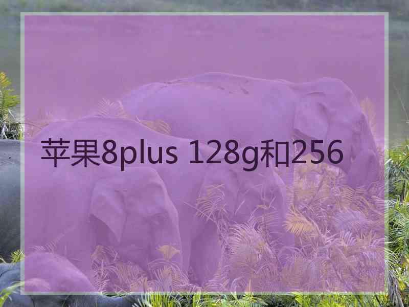 苹果8plus 128g和256