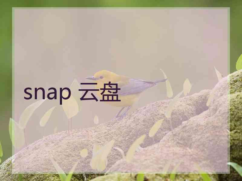 snap 云盘