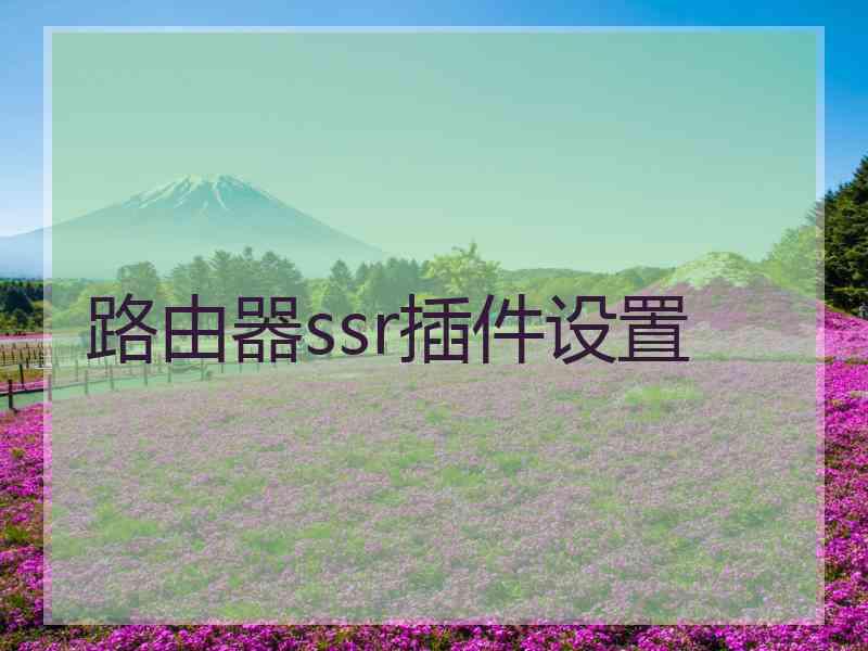 路由器ssr插件设置