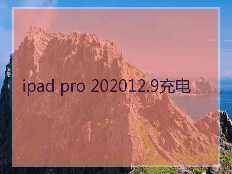 ipad pro 202012.9充电