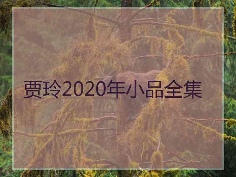 贾玲2020年小品全集