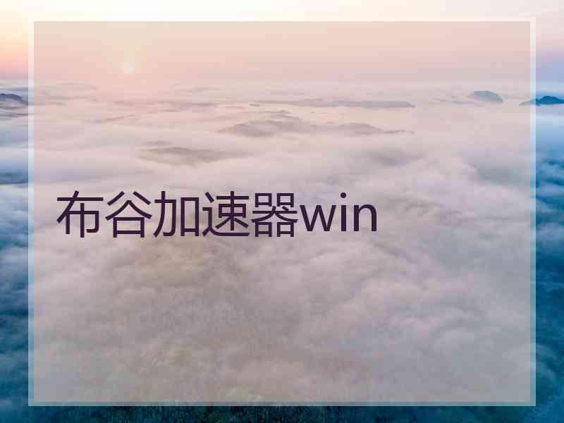 布谷加速器win