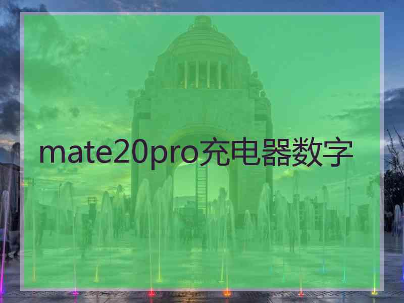 mate20pro充电器数字