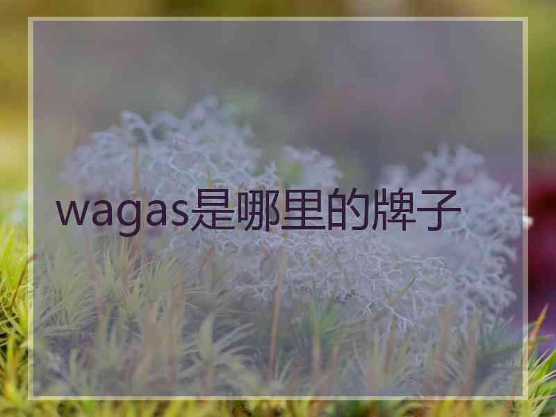 wagas是哪里的牌子