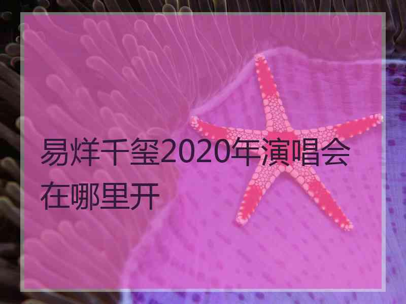 易烊千玺2020年演唱会在哪里开