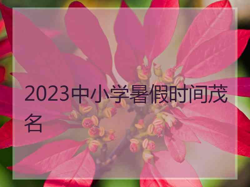 2023中小学暑假时间茂名