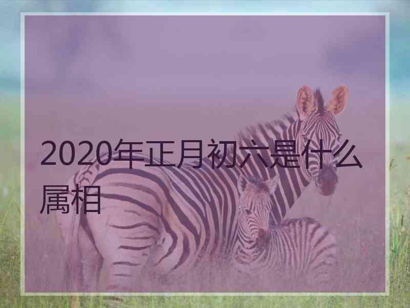 2020年正月初六是什么属相