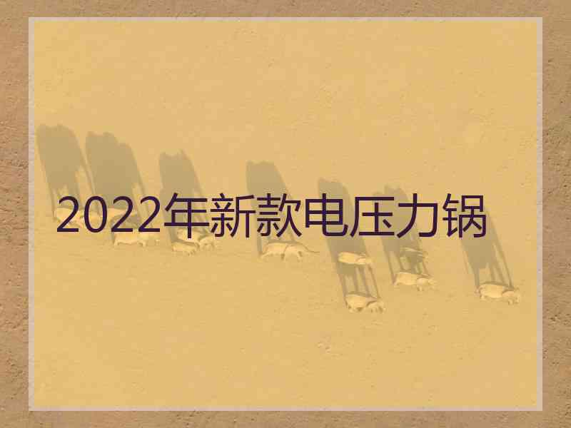 2022年新款电压力锅