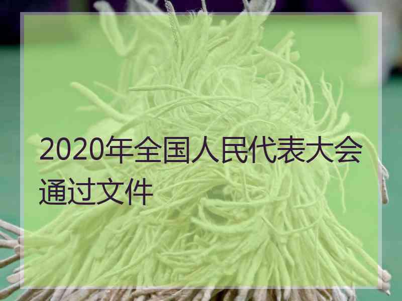 2020年全国人民代表大会通过文件