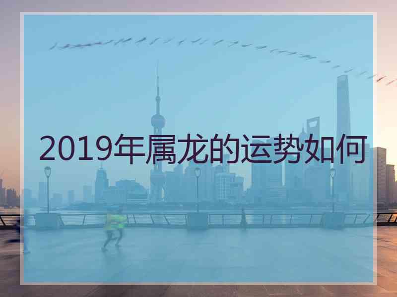 2019年属龙的运势如何