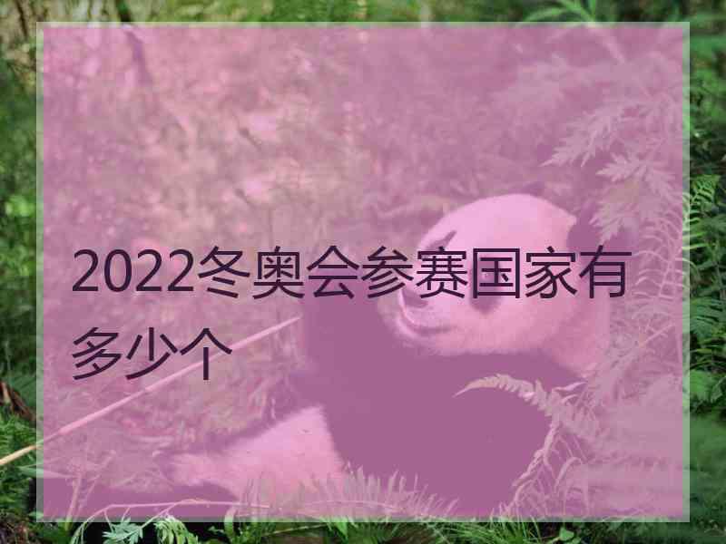 2022冬奥会参赛国家有多少个