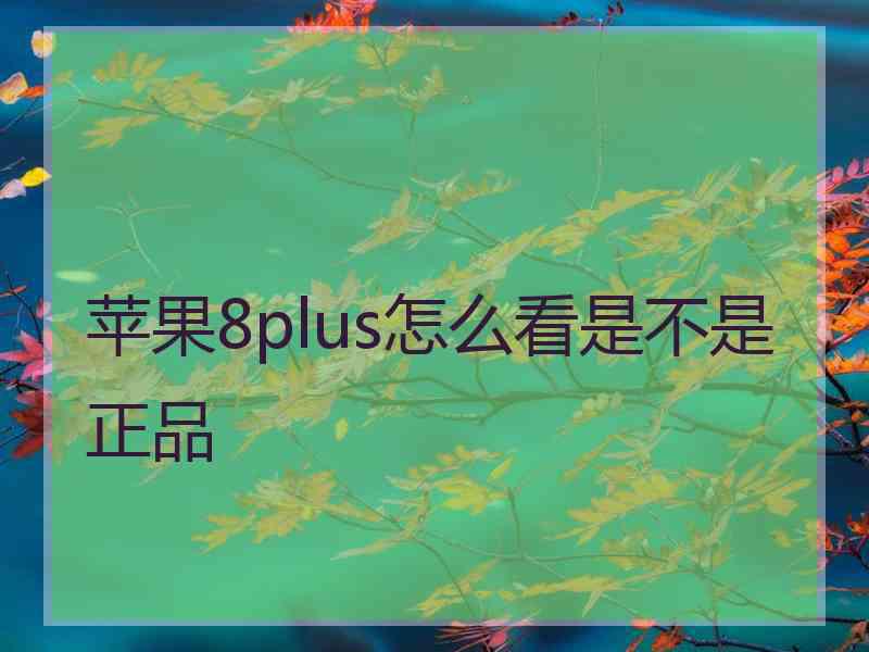 苹果8plus怎么看是不是正品