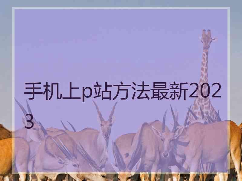 手机上p站方法最新2023