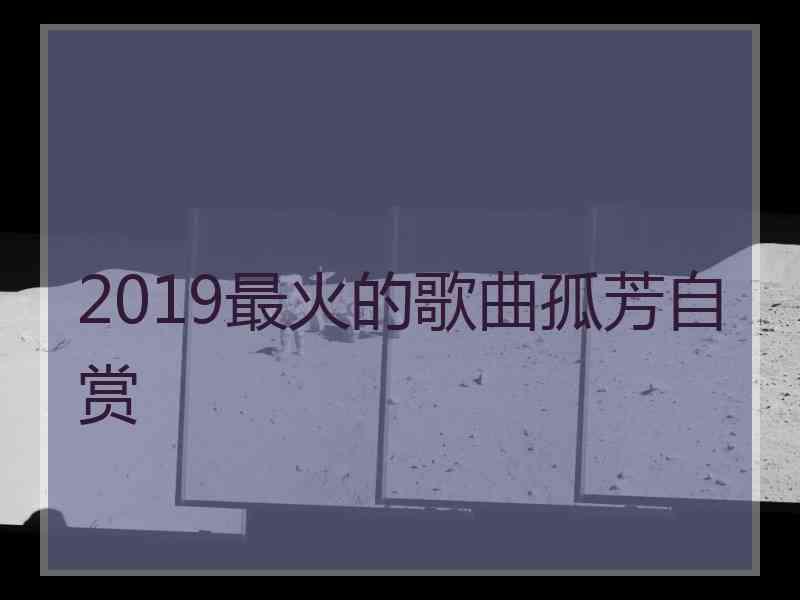 2019最火的歌曲孤芳自赏