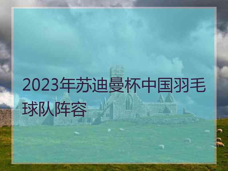 2023年苏迪曼杯中国羽毛球队阵容