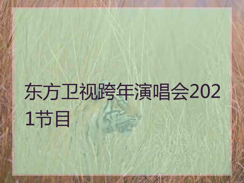 东方卫视跨年演唱会2021节目