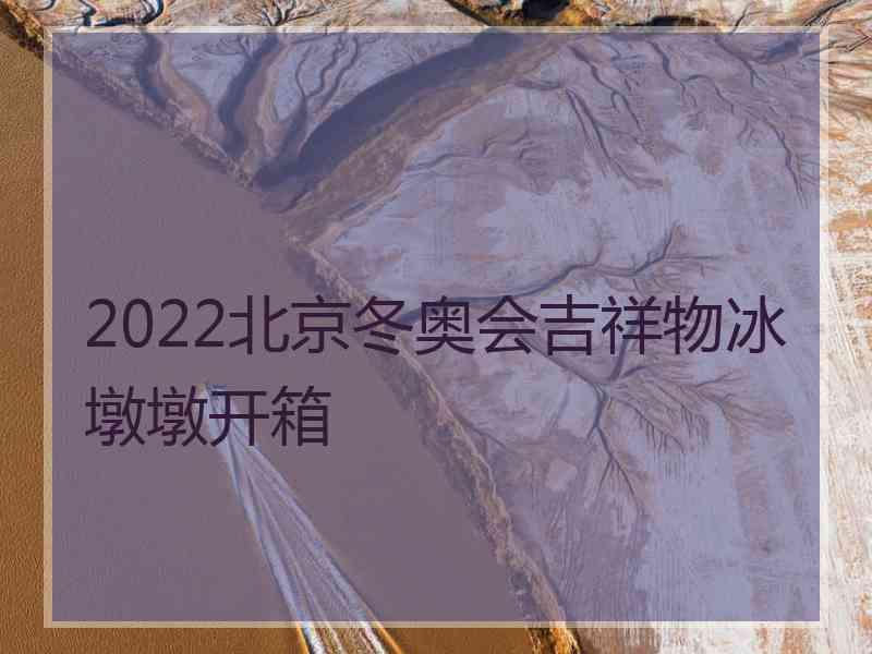 2022北京冬奥会吉祥物冰墩墩开箱