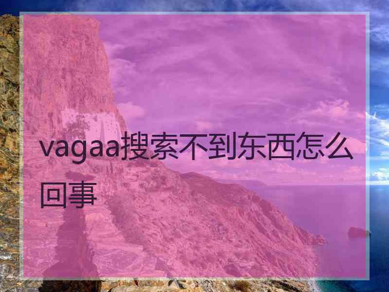 vagaa搜索不到东西怎么回事