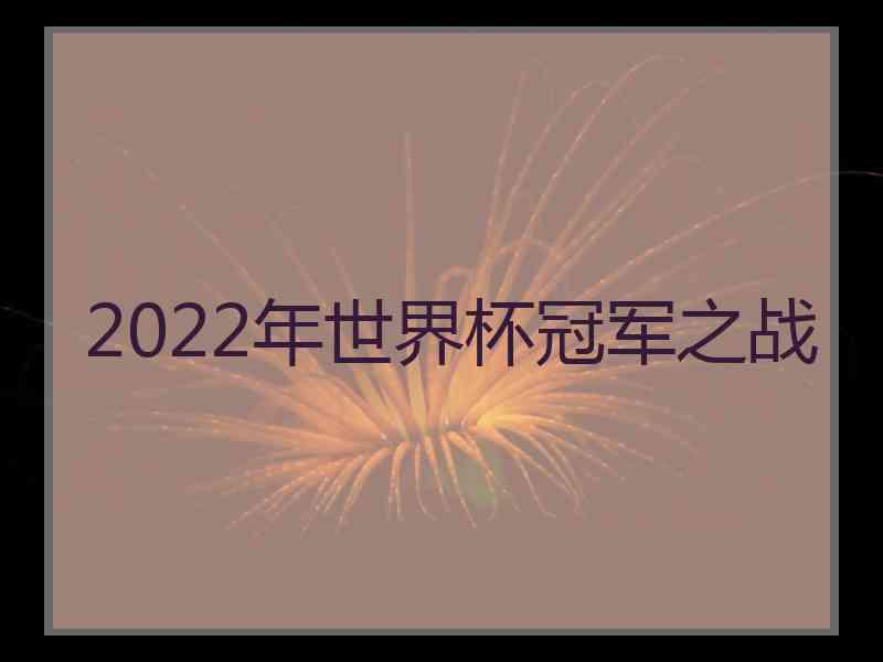 2022年世界杯冠军之战