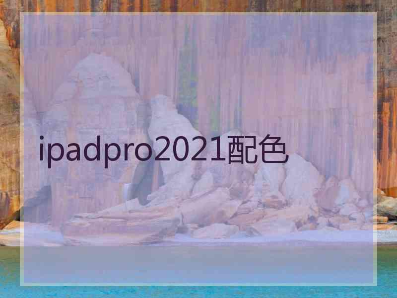 ipadpro2021配色