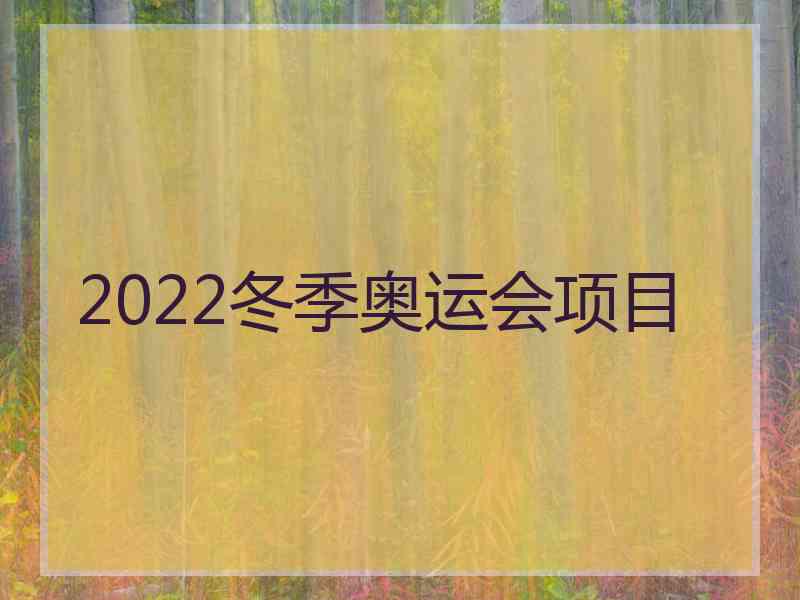 2022冬季奥运会项目