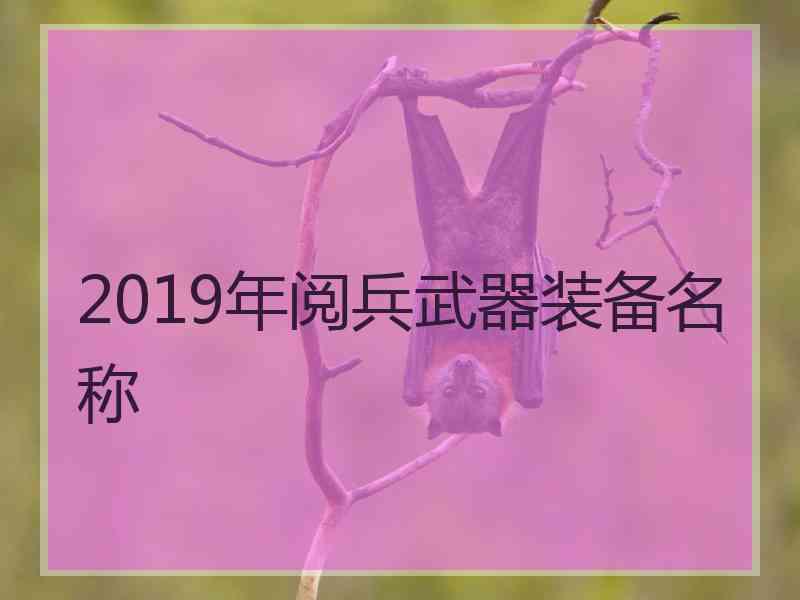 2019年阅兵武器装备名称