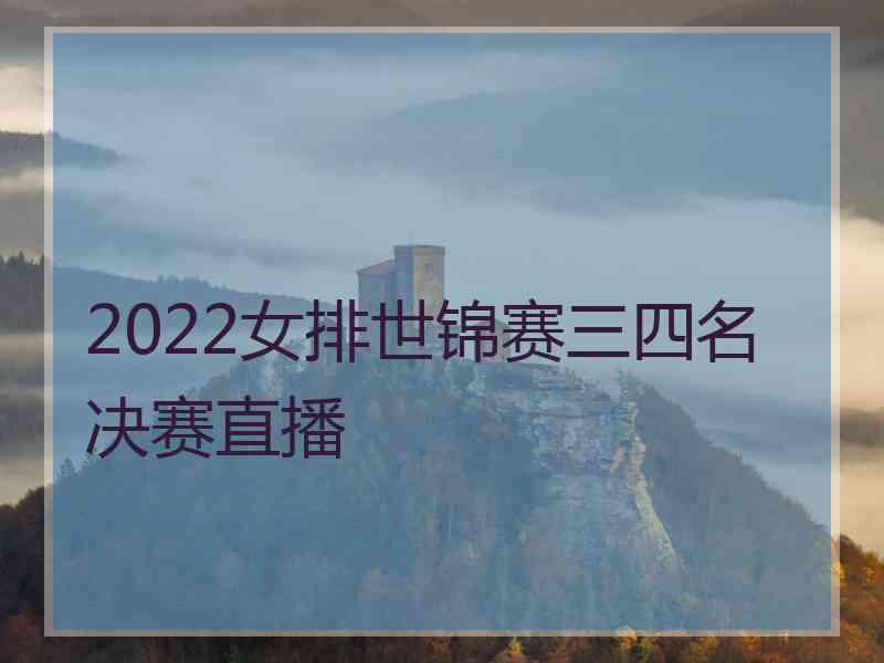 2022女排世锦赛三四名决赛直播