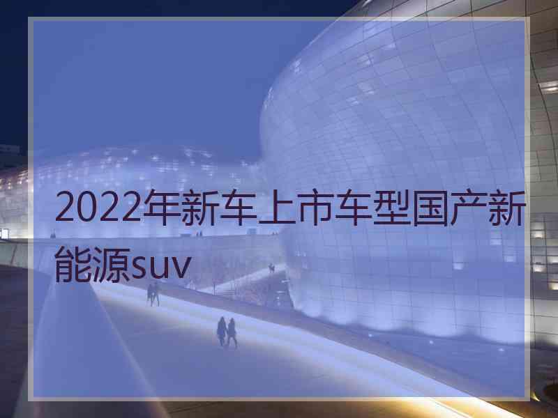 2022年新车上市车型国产新能源suv