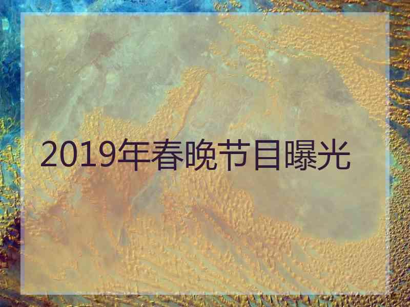 2019年春晚节目曝光