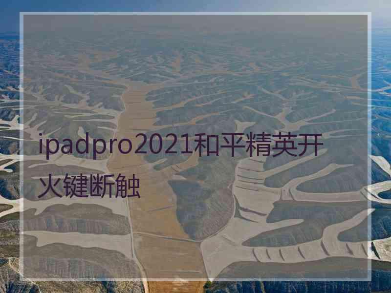 ipadpro2021和平精英开火键断触