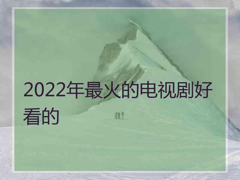 2022年最火的电视剧好看的