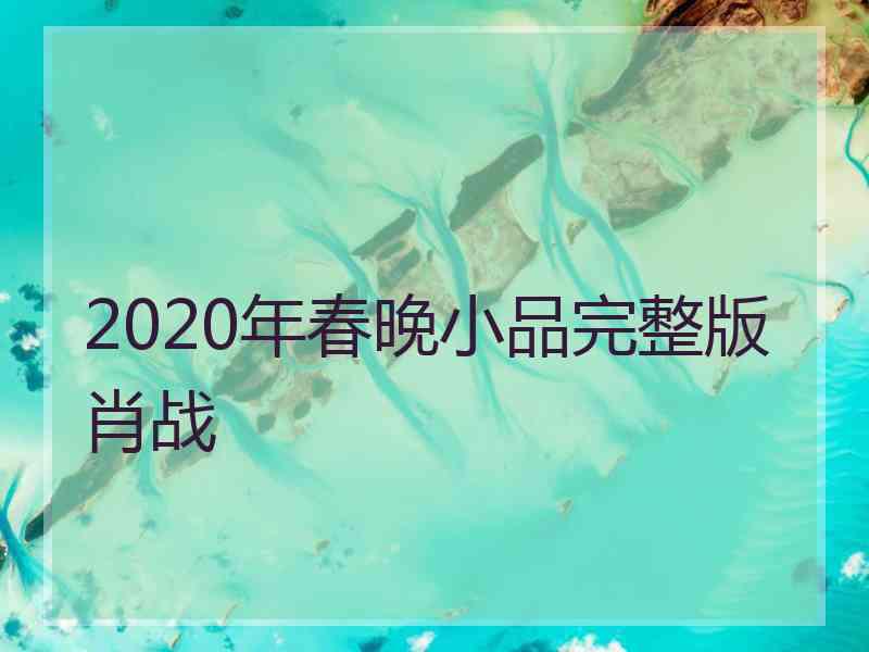 2020年春晚小品完整版肖战