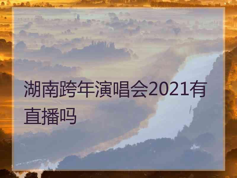 湖南跨年演唱会2021有直播吗