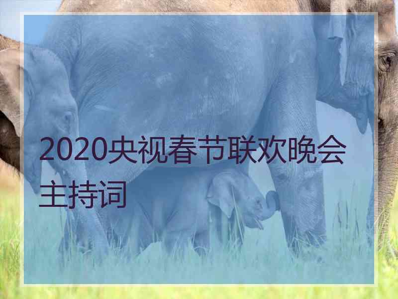 2020央视春节联欢晚会主持词