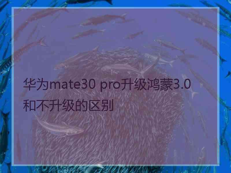 华为mate30 pro升级鸿蒙3.0和不升级的区别