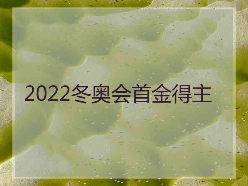 2022冬奥会首金得主