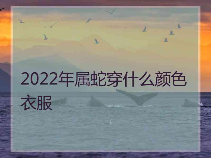 2022年属蛇穿什么颜色衣服