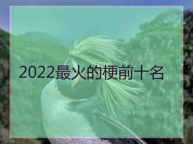 2022最火的梗前十名