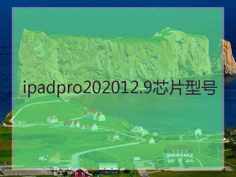 ipadpro202012.9芯片型号