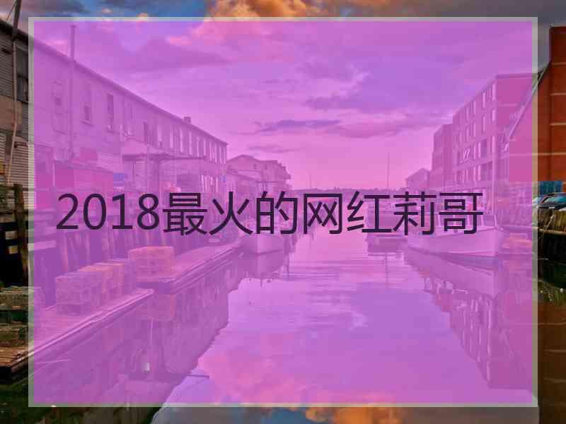 2018最火的网红莉哥