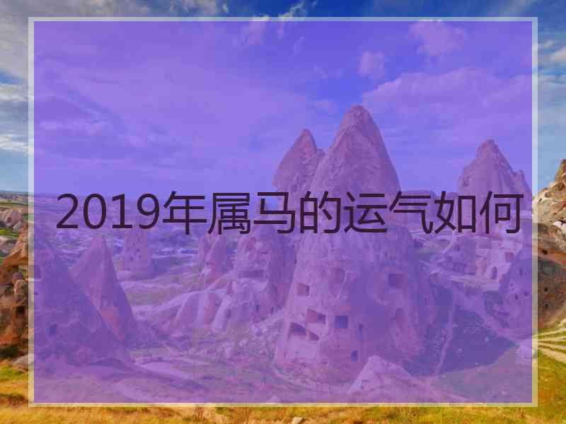 2019年属马的运气如何