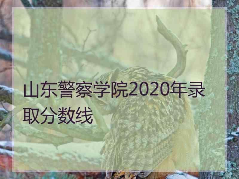 山东警察学院2020年录取分数线