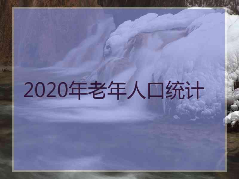 2020年老年人口统计