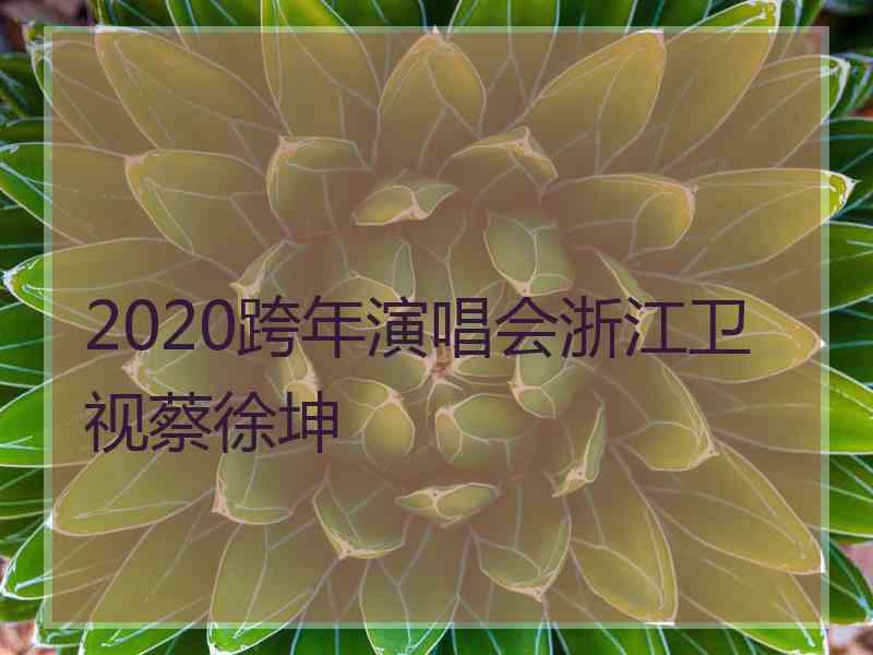 2020跨年演唱会浙江卫视蔡徐坤