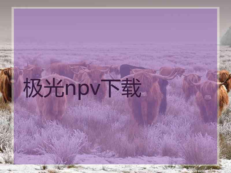 极光npv下载