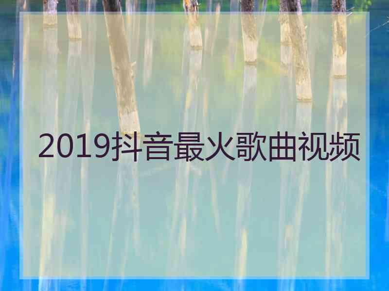 2019抖音最火歌曲视频