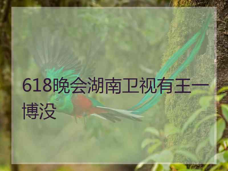 618晚会湖南卫视有王一博没