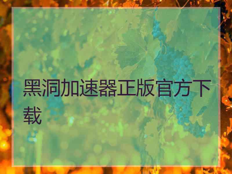 黑洞加速器正版官方下载