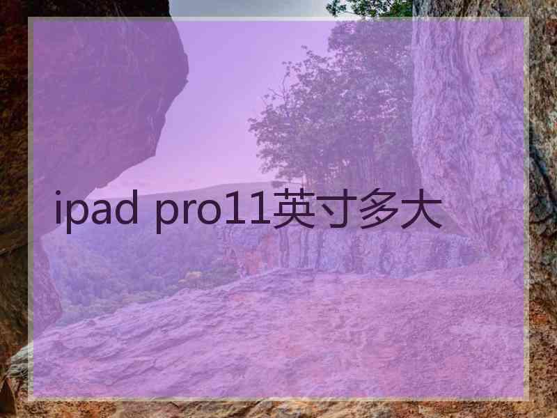 ipad pro11英寸多大