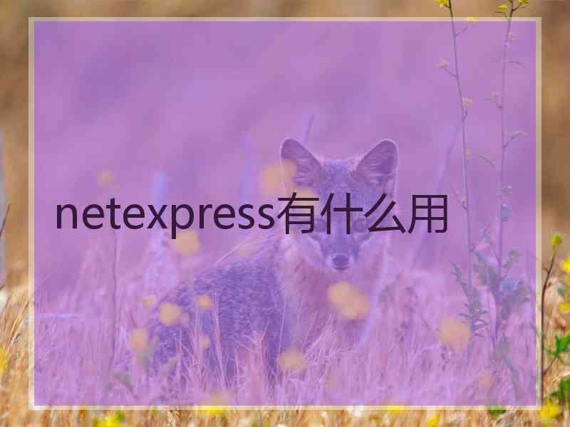 netexpress有什么用